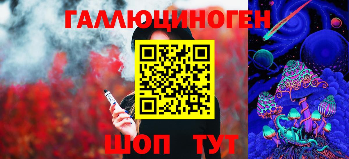 Галлюциногенные грибы Psilocybine cubensis Заволжье