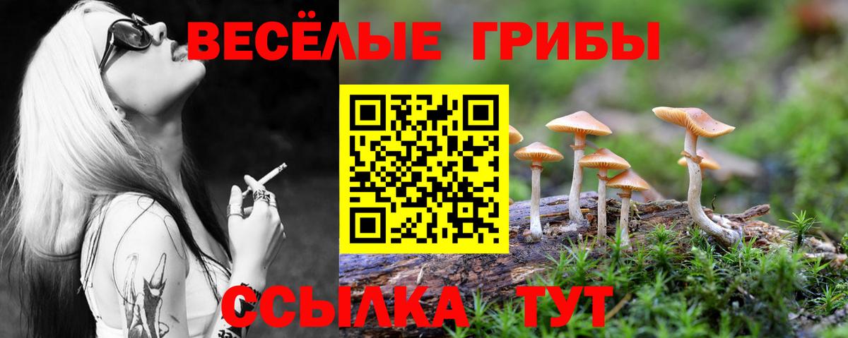 Заволжье  дарнет шоп  Вход с VPN  Псилоцибиновые грибы GOLDEN TEACHER 